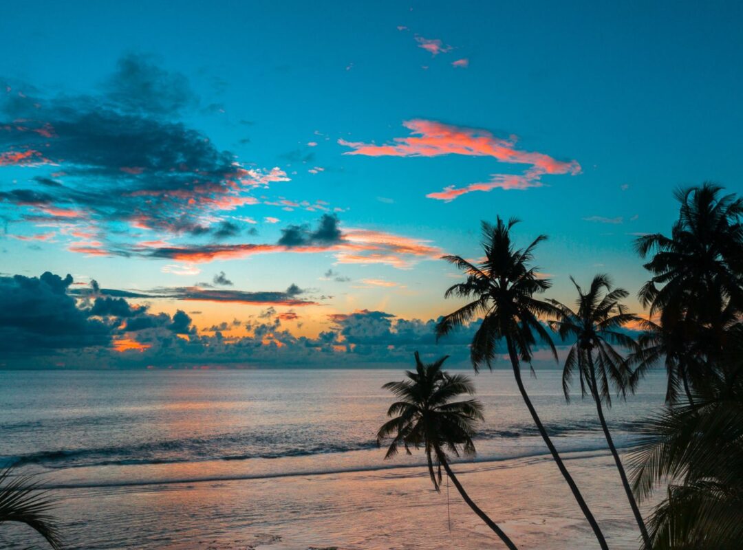 年末のご挨拶と2019年新春フェアのご案内　ティージー（豊橋市）