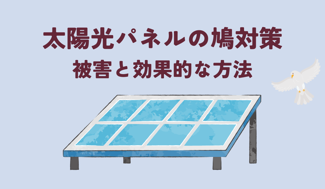太陽光パネルの鳩対策とは?被害と効果的な方法