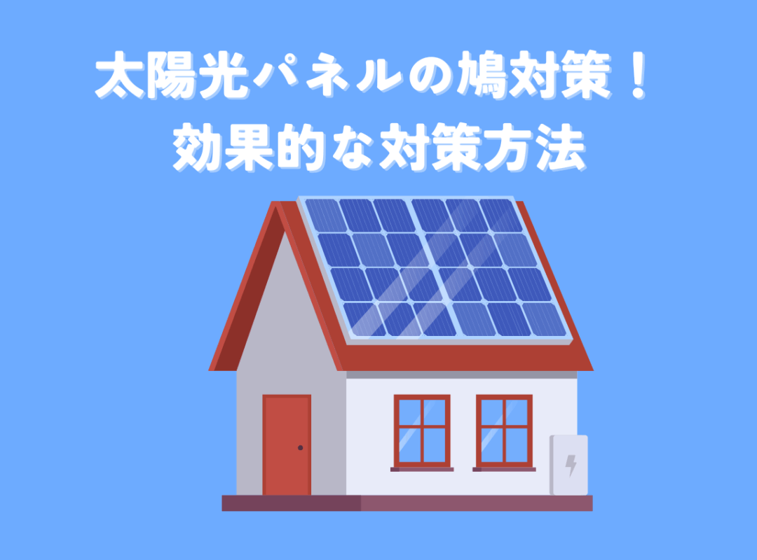 太陽光パネルの鳩対策!効果的な対策方法を解説