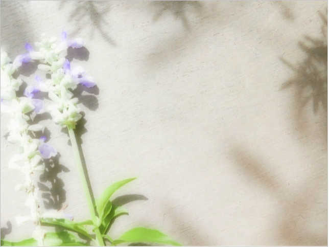 スクリーンショット 2025-06-10 10.43.25